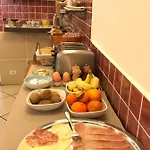 Chopin Hotel Janov